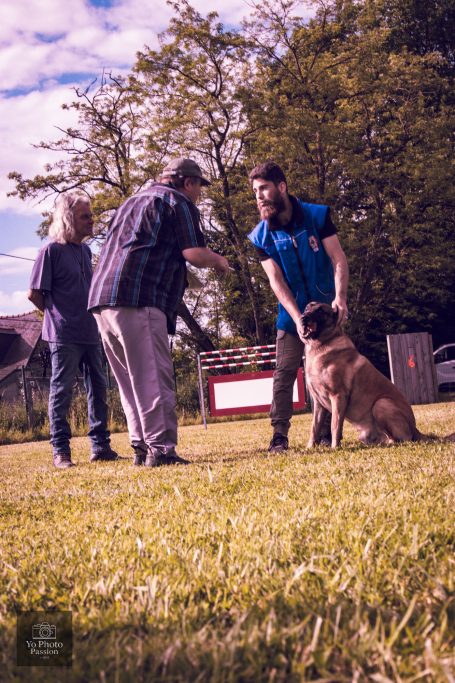 Trois personnes interagissent avec un chien dans un parc ensoleillé.