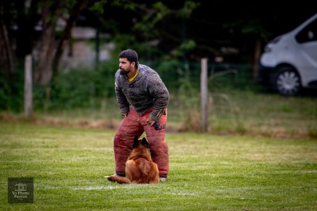 Un homme en train de jouer avec un chien sur un terrain herbeux.