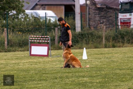 Un homme surveille un chien sur un terrain herbeux, avec des cônes et des panneaux en arrière-plan.