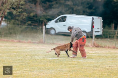 Un homme en pantalon rouge interagit avec un chien sur un terrain dégagé.